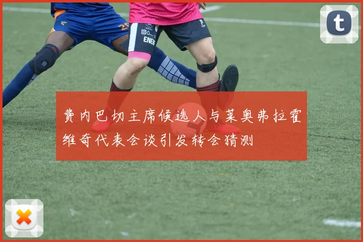 费内巴切主席候选人与莱奥弗拉霍维奇代表会谈引发转会猜测