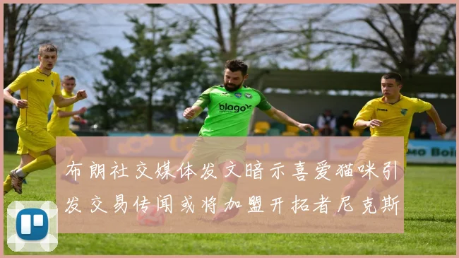 布朗社交媒体发文暗示喜爱猫咪引发交易传闻或将加盟开拓者尼克斯雷霆湖人